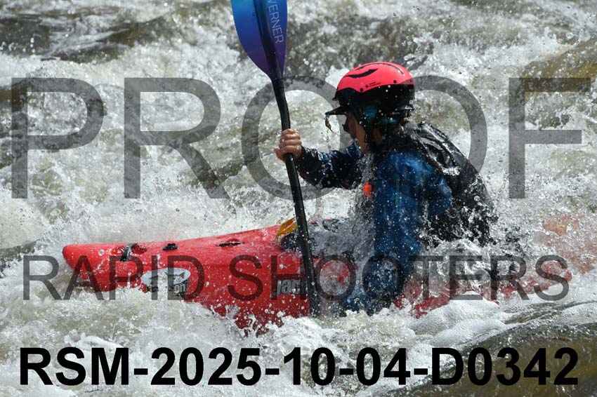 RSM-2025-10-04-D0342
