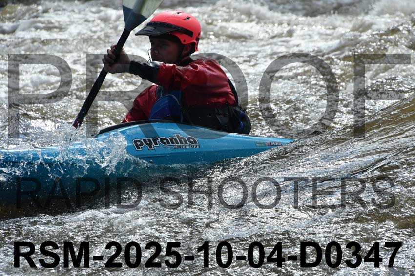 RSM-2025-10-04-D0347