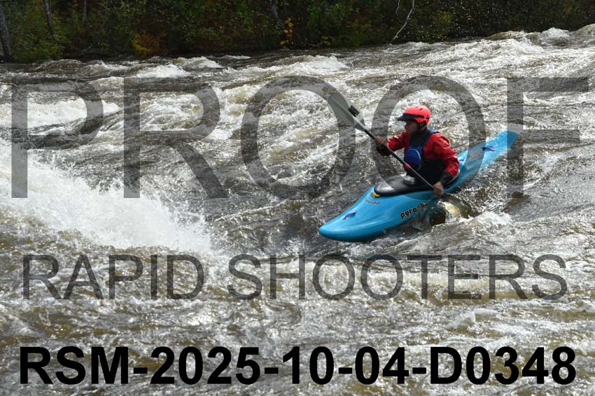 RSM-2025-10-04-D0348