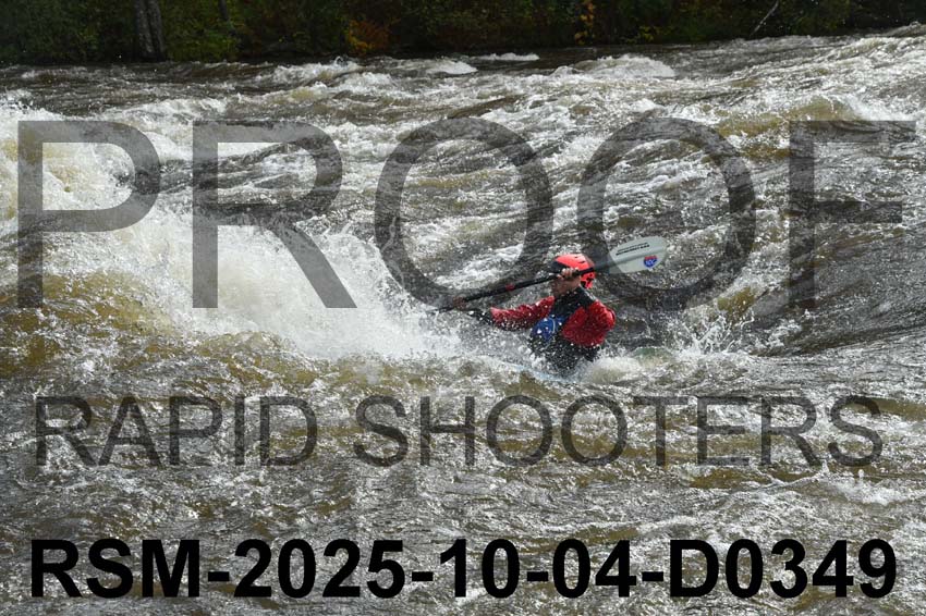 RSM-2025-10-04-D0349