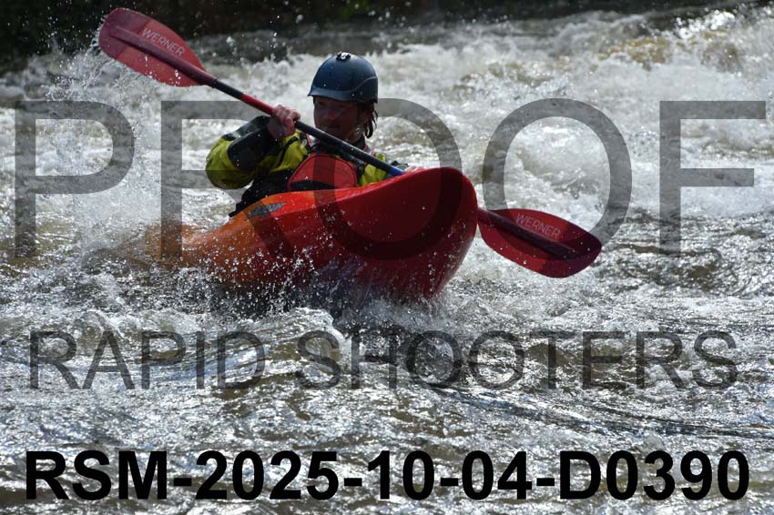 RSM-2025-10-04-D0390