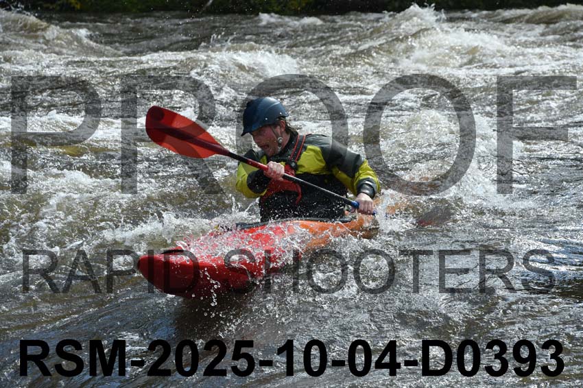 RSM-2025-10-04-D0393