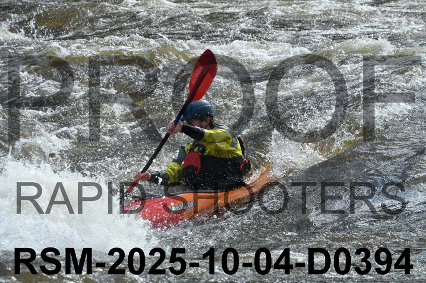 RSM-2025-10-04-D0394