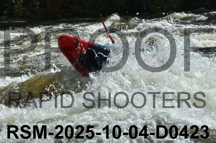 RSM-2025-10-04-D0423
