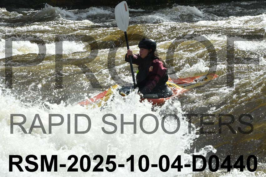 RSM-2025-10-04-D0440