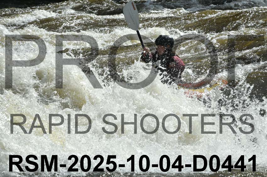 RSM-2025-10-04-D0441