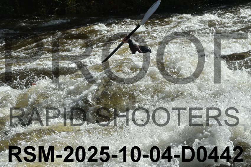 RSM-2025-10-04-D0442