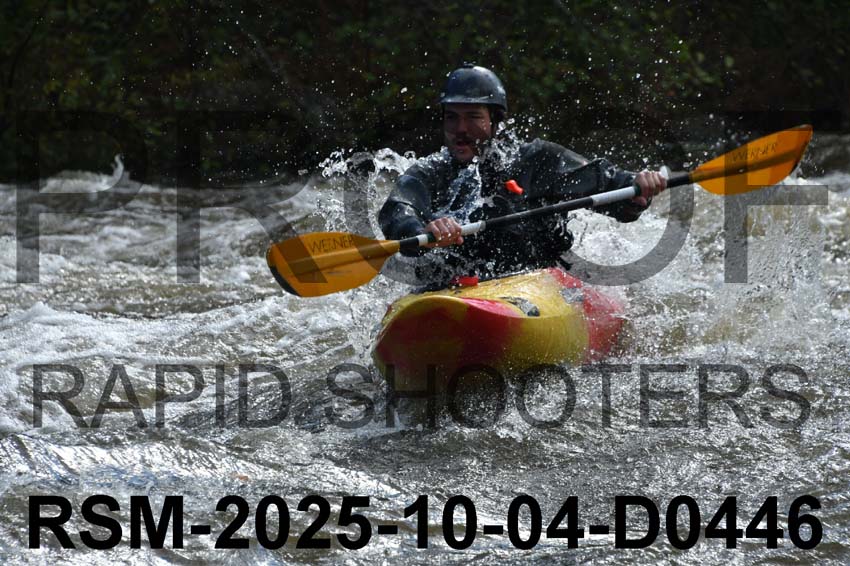 RSM-2025-10-04-D0446