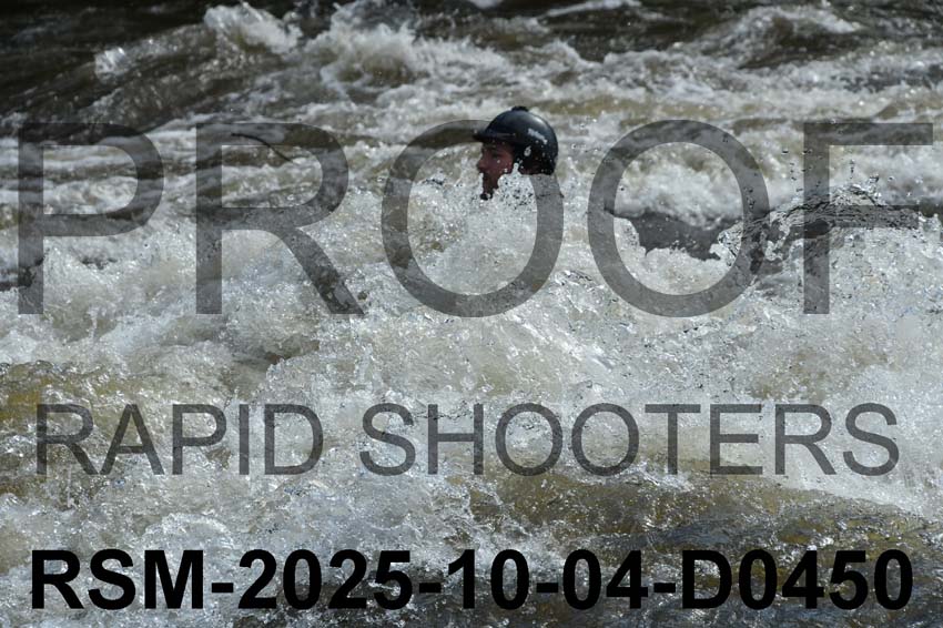 RSM-2025-10-04-D0450