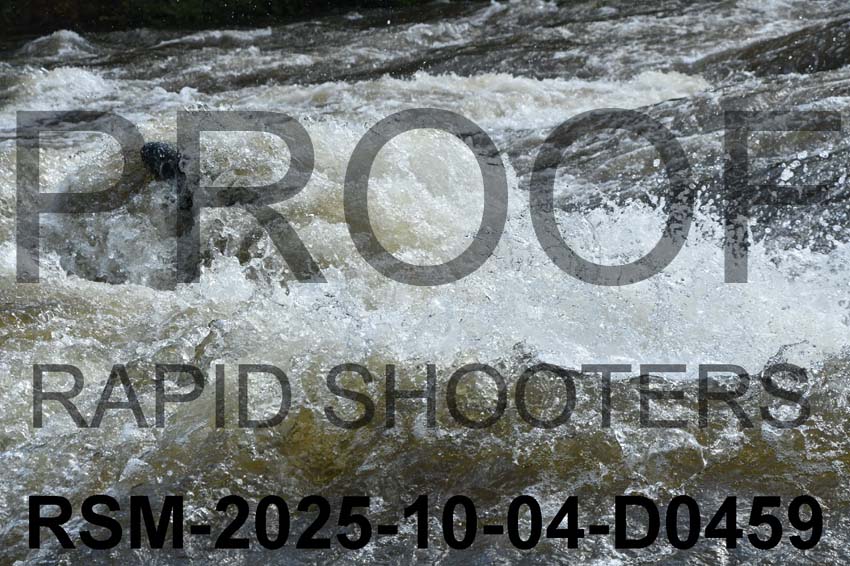RSM-2025-10-04-D0459