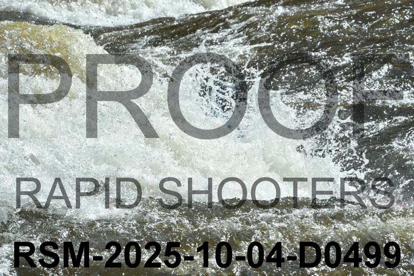 RSM-2025-10-04-D0499