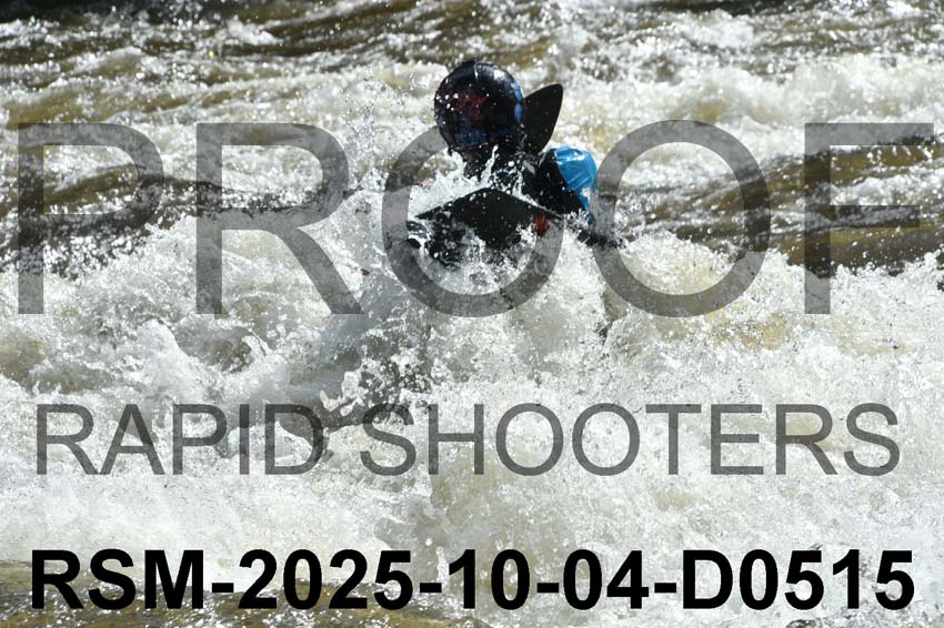 RSM-2025-10-04-D0515