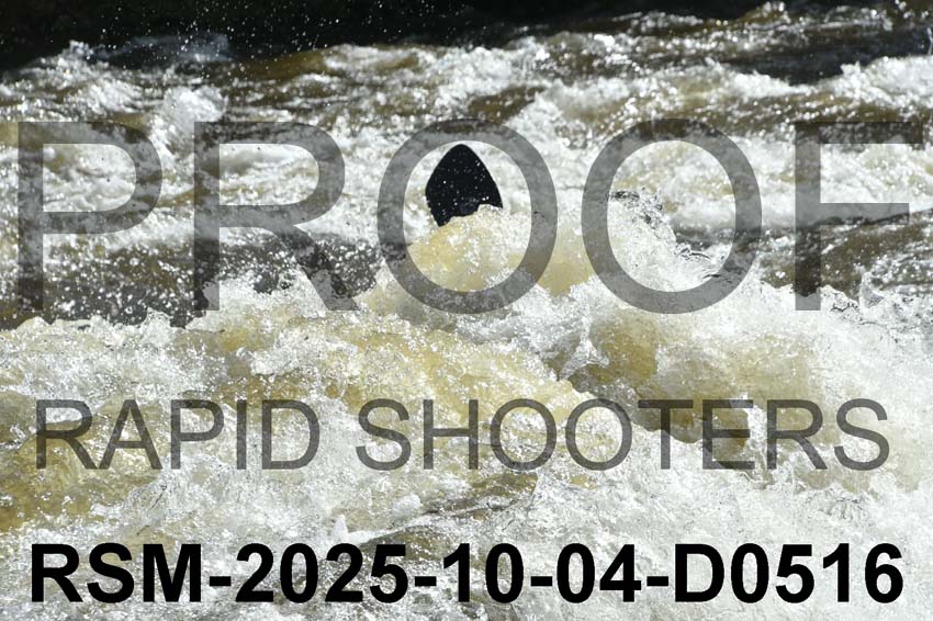 RSM-2025-10-04-D0516