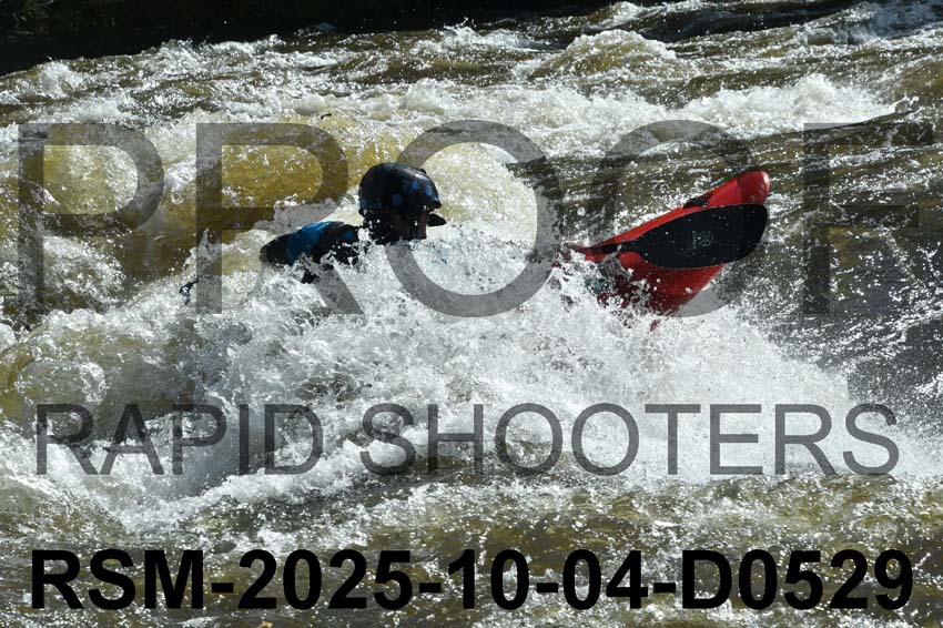 RSM-2025-10-04-D0529