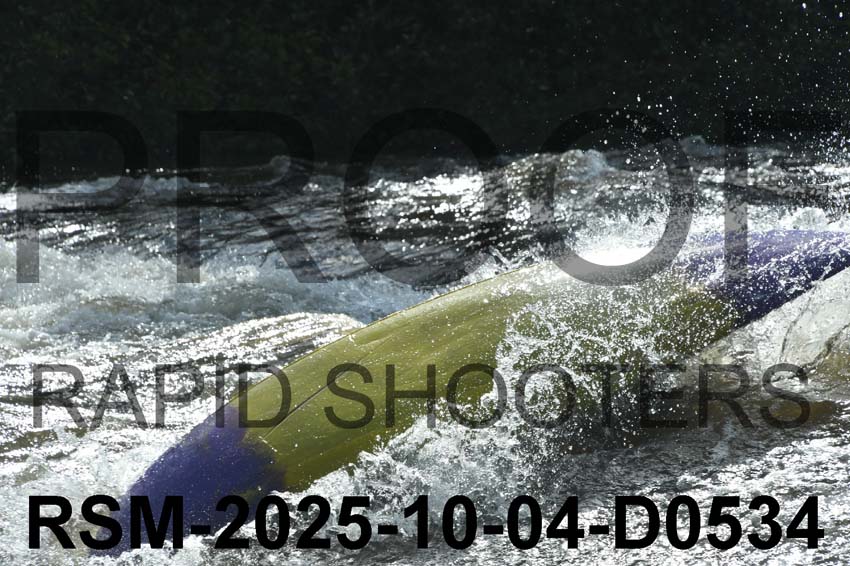 RSM-2025-10-04-D0534