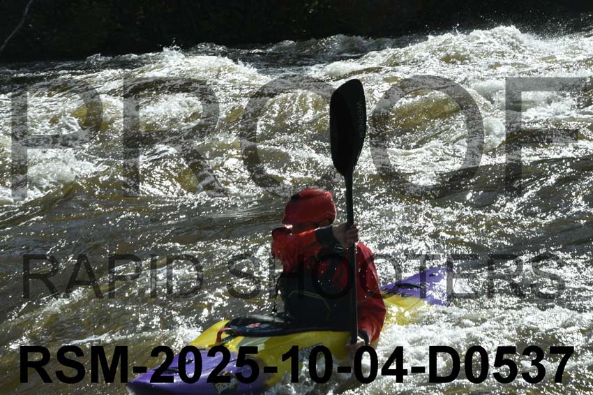 RSM-2025-10-04-D0537