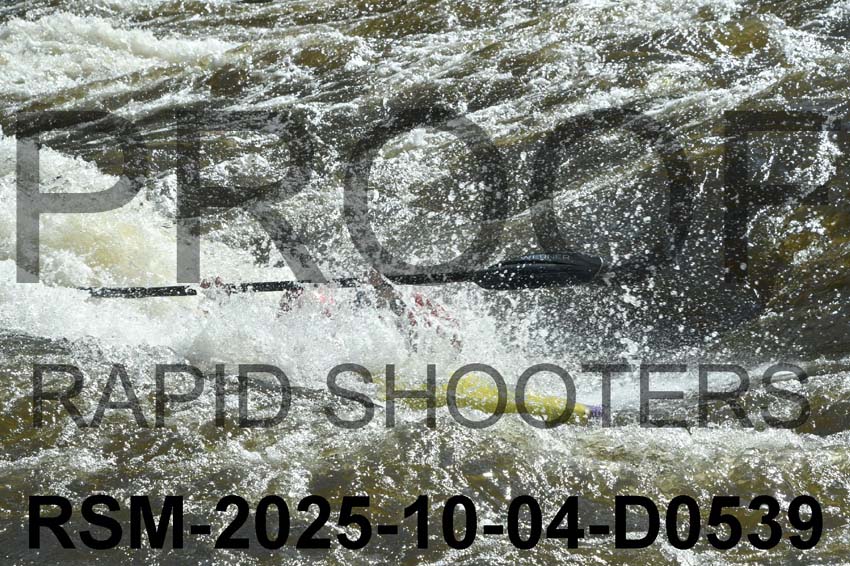 RSM-2025-10-04-D0539