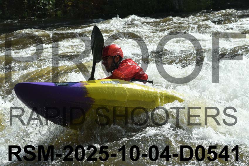 RSM-2025-10-04-D0541