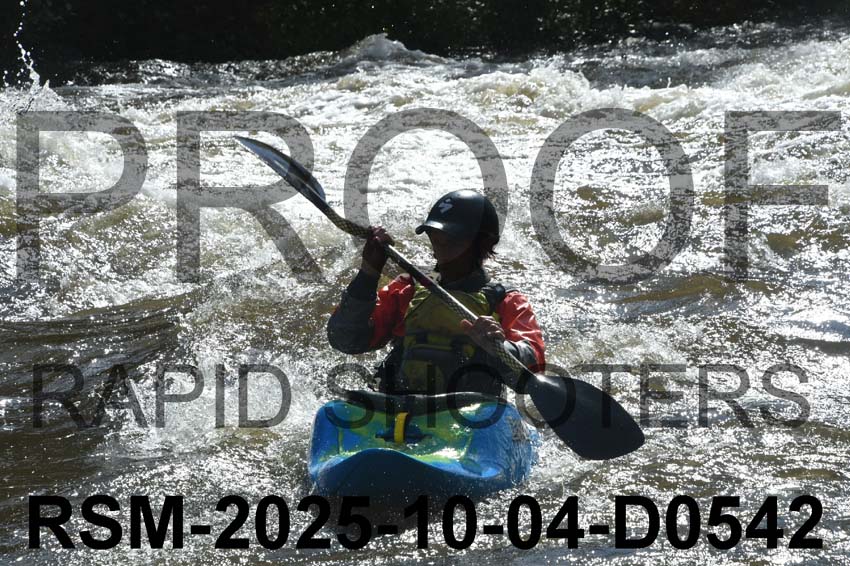 RSM-2025-10-04-D0542