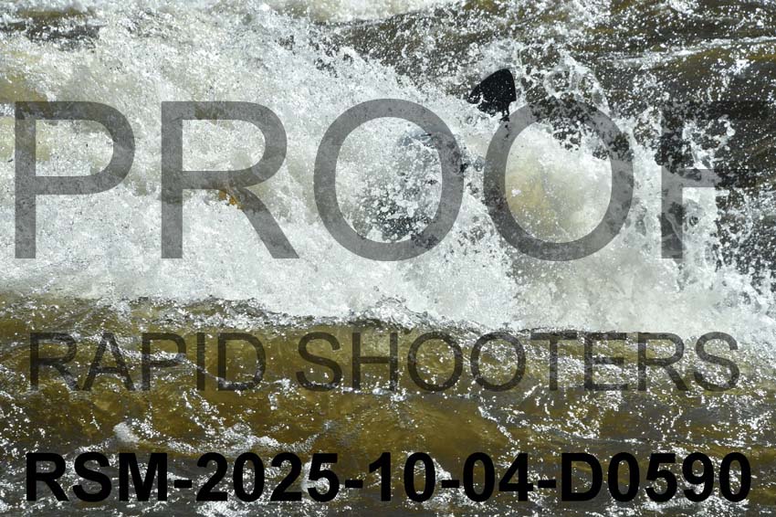 RSM-2025-10-04-D0590