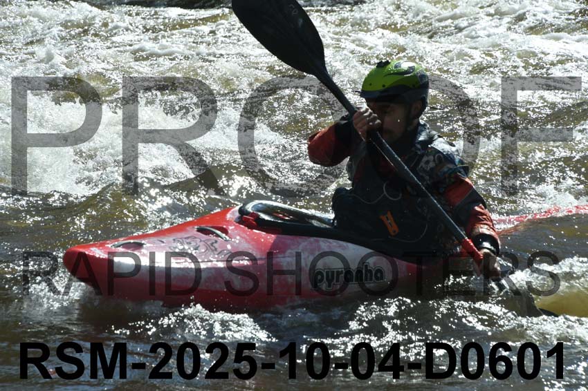 RSM-2025-10-04-D0601