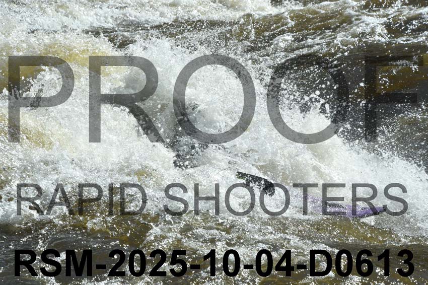 RSM-2025-10-04-D0613