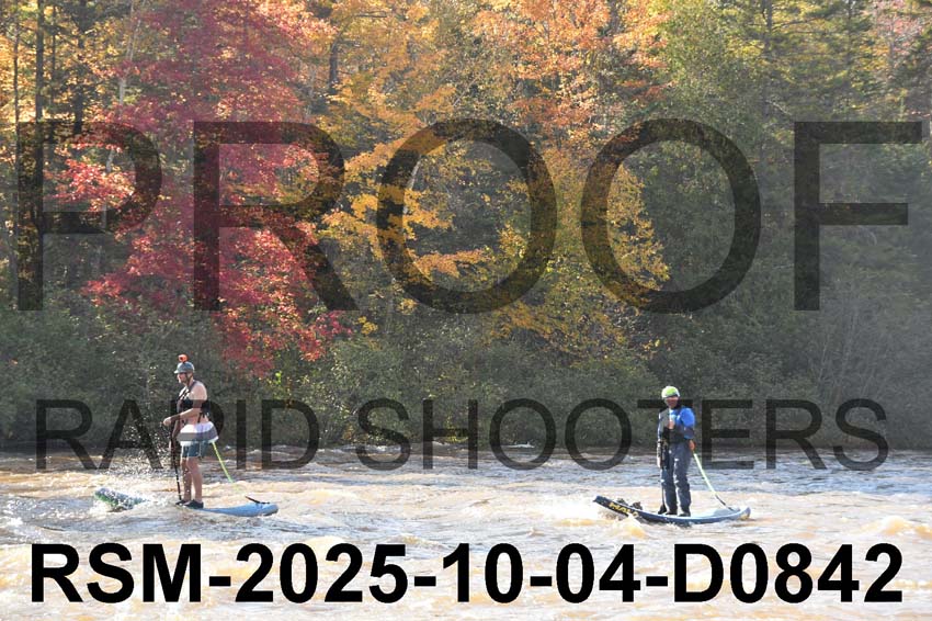 RSM-2025-10-04-D0842