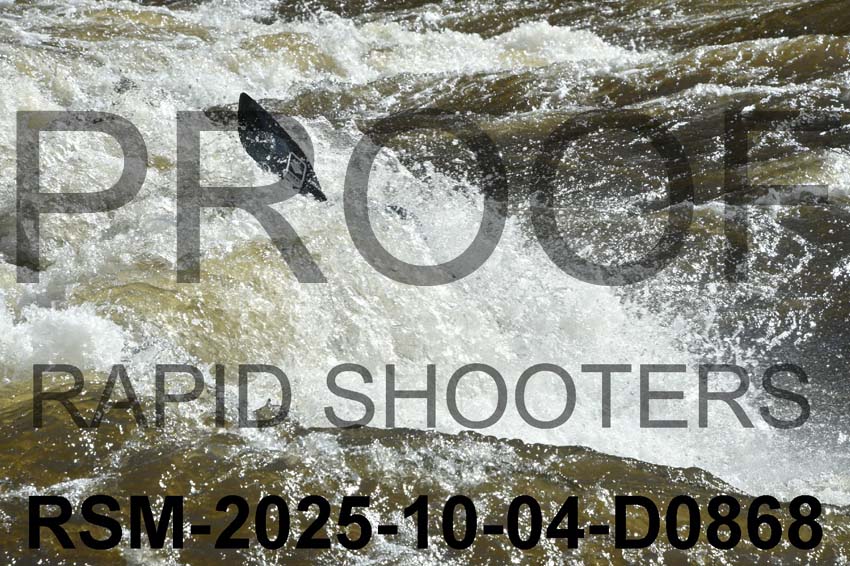 RSM-2025-10-04-D0868