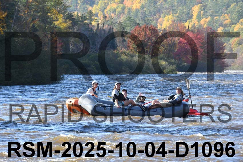 RSM-2025-10-04-D1096