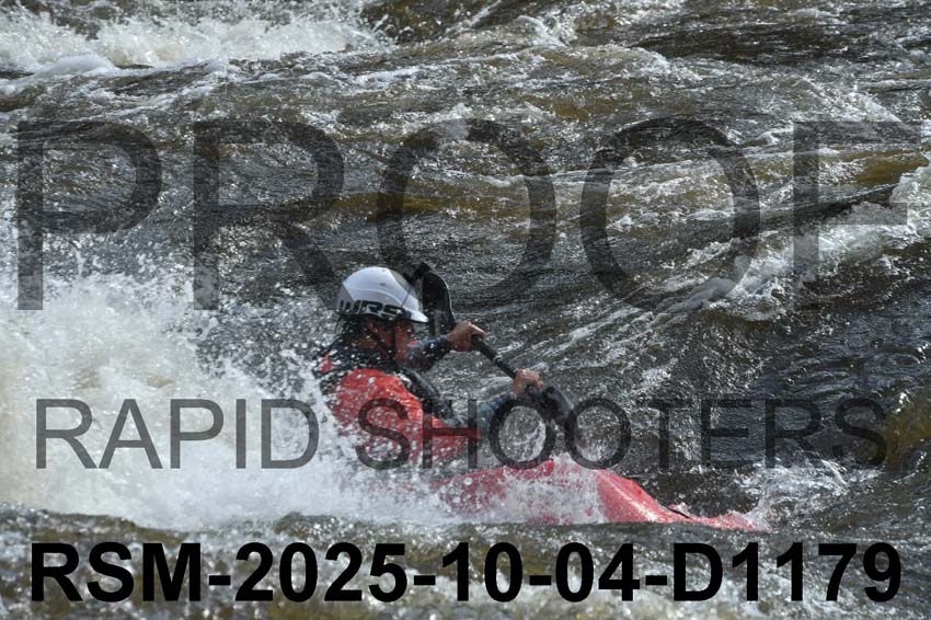 RSM-2025-10-04-D1179
