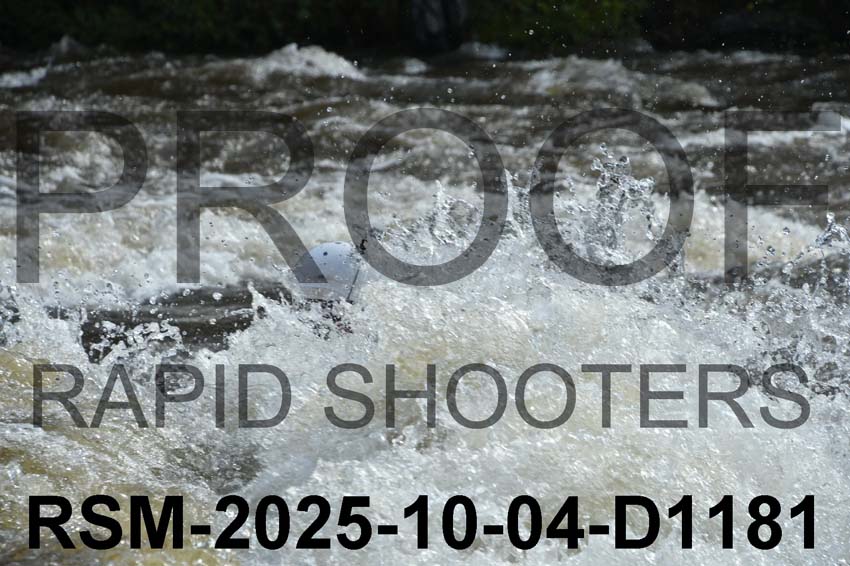 RSM-2025-10-04-D1181