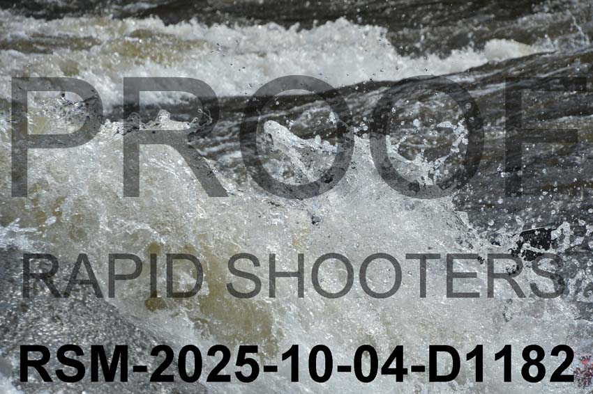 RSM-2025-10-04-D1182