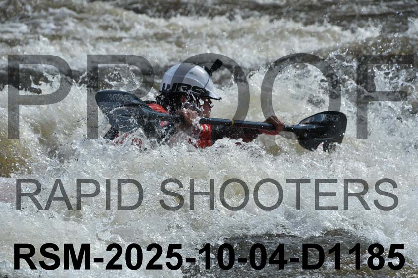 RSM-2025-10-04-D1185