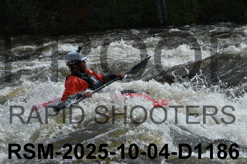 RSM-2025-10-04-D1186