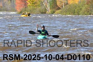 RSM-2025-10-04-D0110