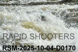RSM-2025-10-04-D0170