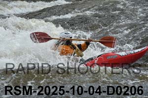 RSM-2025-10-04-D0206