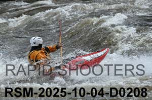 RSM-2025-10-04-D0208