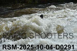 RSM-2025-10-04-D0291