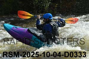 RSM-2025-10-04-D0333