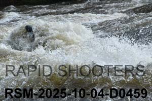 RSM-2025-10-04-D0459