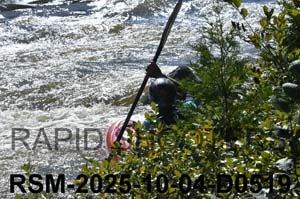 RSM-2025-10-04-D0519