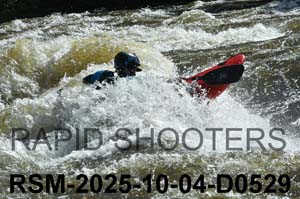 RSM-2025-10-04-D0529