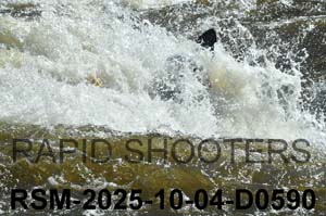 RSM-2025-10-04-D0590
