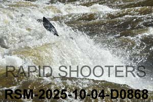 RSM-2025-10-04-D0868