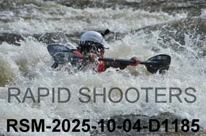 RSM-2025-10-04-D1185