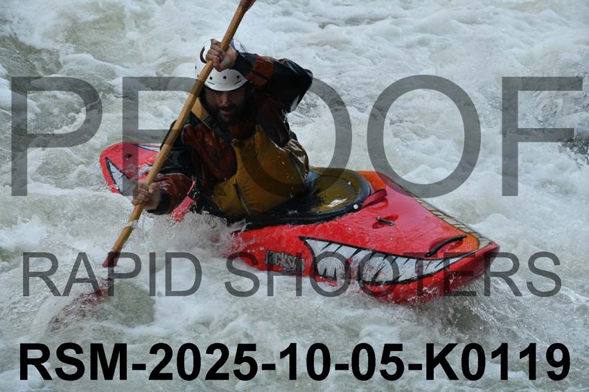 RSM-2025-10-05-K0119