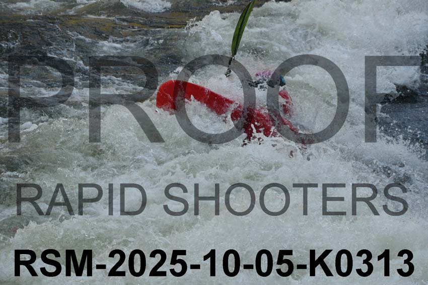 RSM-2025-10-05-K0313