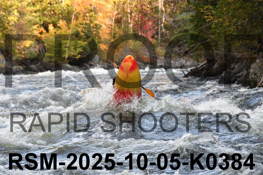 RSM-2025-10-05-K0384