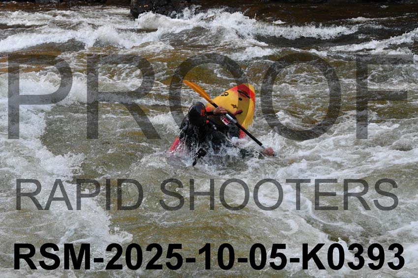 RSM-2025-10-05-K0393